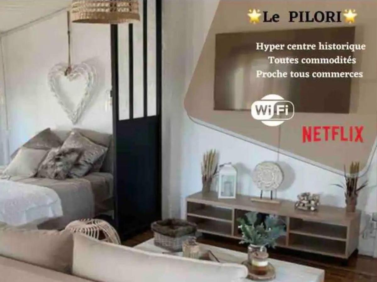 Le Pilori - Centre Historique, En Face Du Musee Du Pilori, A 2Mn A Pied De L'Hyper Centre Et Proche Toutes Commodites, Wifi-Netflix Niort Zewnętrze zdjęcie